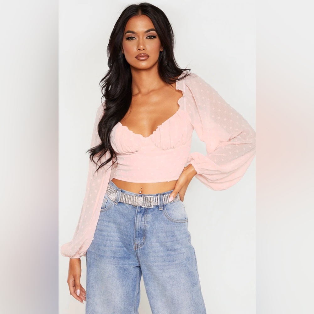Rose Dobby Mesh Cup Detail Long Sleeve Crop Top